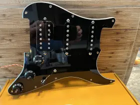 691959416860 920D CUSTOM Pickguard Strat
