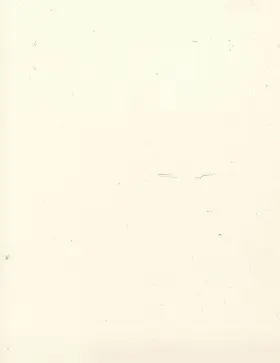 130130PM BITTERROOT Pickguard Blank Material Parchment Ply #3