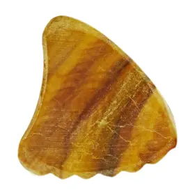 629722624723 EXOTIC PLECTRUMS Abalone Guitar Bass #2