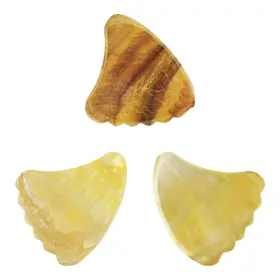629722624723 EXOTIC PLECTRUMS Abalone Guitar Bass #3