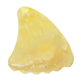 629722624723 EXOTIC PLECTRUMS Abalone Guitar Bass