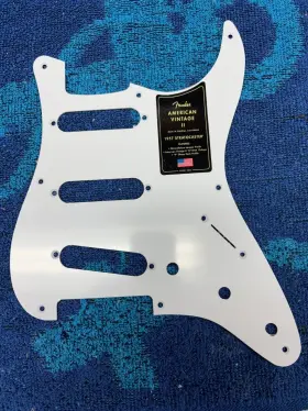 712009128577521 FENDER Stratocaster Guitar Avii Single Ply