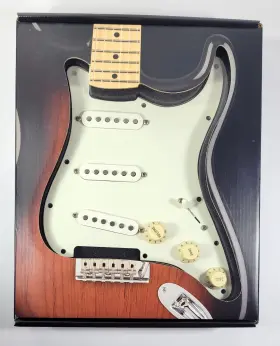 885978207282 FENDER Wired Stratocaster Pickguard Nsls Wbw
