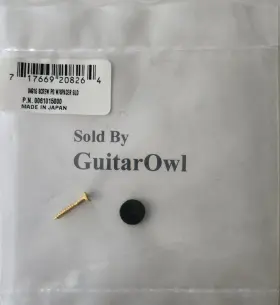 0061015000 GRETSCH Grestch Guitar Pickguard Screw Spacer