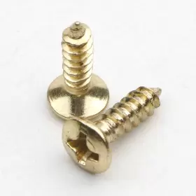 744430888844 GUITAR SCREWS Pack Bass Pickguard Screw Tl Sg Lp #3