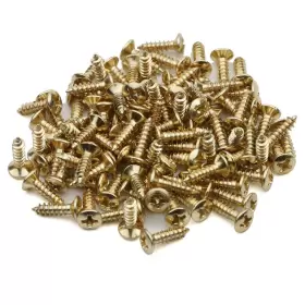 744430888844 GUITAR SCREWS Pack Bass Pickguard Screw Tl Sg Lp