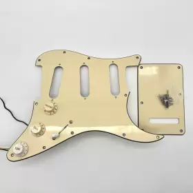 HPG2401 HOODOO Stratocaster Pickguard