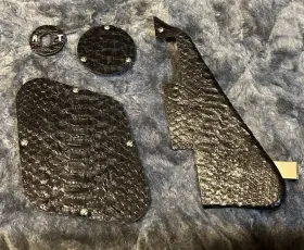 BPCS1 HOWES CUSTOM Python Les Paul Pickguard Control Cover