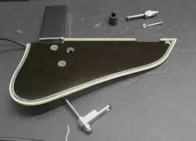 3PUMTB4-CH IBANEZ George Benson Tortoiseshell Guitar #2