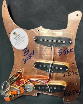 62ZS ROCKN GUITARS LLC CUSTOM SHOP Tortoise Strat Pickguard #2
