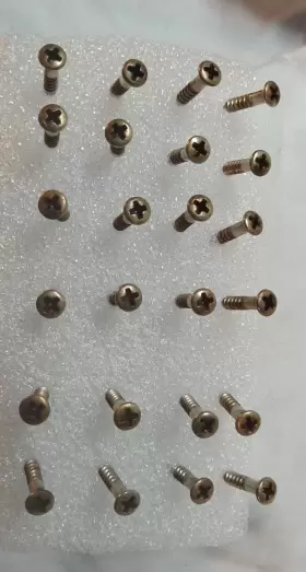 GS-0001-007 TAMIKE16 Relic Pickguard Screws #2