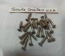 GS-0001-007 TAMIKE16 Relic Pickguard Screws