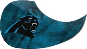 PGNFL05 THE SPORTS VAULT CORPORATION Carolina Panthers