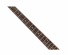 V4BKL BASS Reissued Mirror Pickguard #3