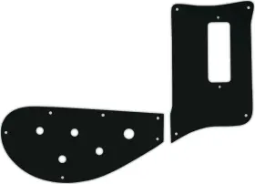 RBT-5101A WD MUSIC Pickguard Rickenbacker Bass Acrylic