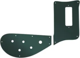RBT-5110S WD MUSIC Pickguard Rickenbacker Bass Mirror