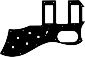S2TBR-1629 WD MUSIC Pickguard Guild Bird