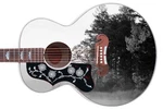 Guitar Skin Wrap Axe Re-skin Acoustic, Pickguard - Once Upon Golden Pond 009. Fixed Price $69.95.