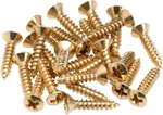 Genuine Fender Pickguard Screws, Gold, 24 Per Pack, Mpn 0994924000. Fixed Price $19.99.