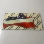 Gibson Style Guitar Right Handed Patriot Us. Flag Pickguard. Fixed Price $5.22.