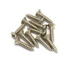 (12) Genuine Fender Nickel Pickguard Screws For Guitar/bass 001-5578-049. Fixed Price $9.97.
