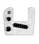 920d Custom Rogue Lap Steel Loaded Pickguard With A Black Polyphonics Pickup .... Fixed Price $171.99.