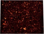 Dopro 25x20cm Dark Tortoise Acoustic Guitar Self Adhesive. Fixed Price $14.64.
