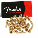 New 24 Fender Pickguard / Control Plate 0994924000 For Any Guitar And Bass. Fixed Price $48.20.