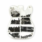 Guitar Screw Kit Assortment With Custom Acrylic Storage Box For Electric. Fixed Price $29.42.