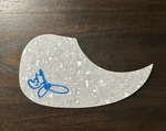 Bruce Johnston The Beach Boys Autographed Acoustic Guitar Pickguard #3. Fixed Price $49.99.