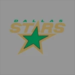 Dallas Stars #2 Nhl Team Pro Sports Vinyl Sticker Decal Car Window Wall. Fixed Price $11.36.