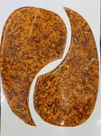 2 - Axl Pg-380-shl Vintage-style Tortoise Shell Pickguard Self Adhesive Two. Fixed Price $11.95.