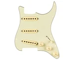Fender Eric Johnson Signature Pre-wired Strat Pickguard - Mint Green 11 Hole. Fixed Price $419.99.