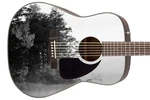 Guitar Skin Wrap Axe Re-skin Acoustic, Pickguard - Once Upon Golden Pond 009. Fixed Price $65.95.