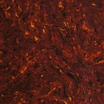 Wd Acoustic Pickguard Material Blank Tortoise Shell. Fixed Price $29.99.