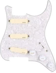 Emg Dg20 David Gilmour Guitar Pickguard. Fixed Price $349.00.