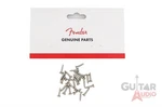 Genuine Fender Chrome Guitar Pickguard Mounting Screws - Package Of 24. Fixed Price $8.19.