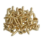 Pack Of 50 Gold Electric Guitar Pickguard Backplates Mounting Screws, Electri.... Fixed Price $14.56.
