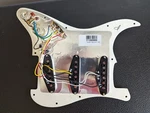 Fender 7713089000 Pre Wired Pick Guard. Fixed Price $139.99.