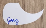 Chandler Walters Signed Acoustic Guitar Pickguard Musician Rad. Fixed Price $39.99.